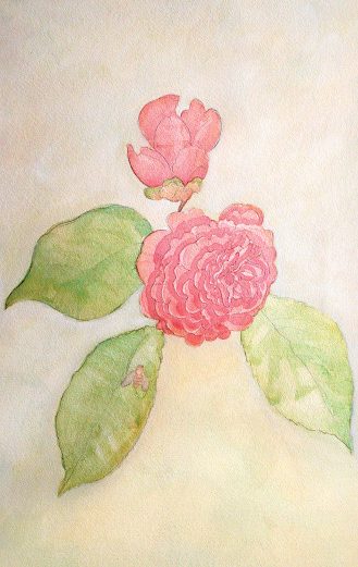 Denis Bourion - Aquarelle, Fleur