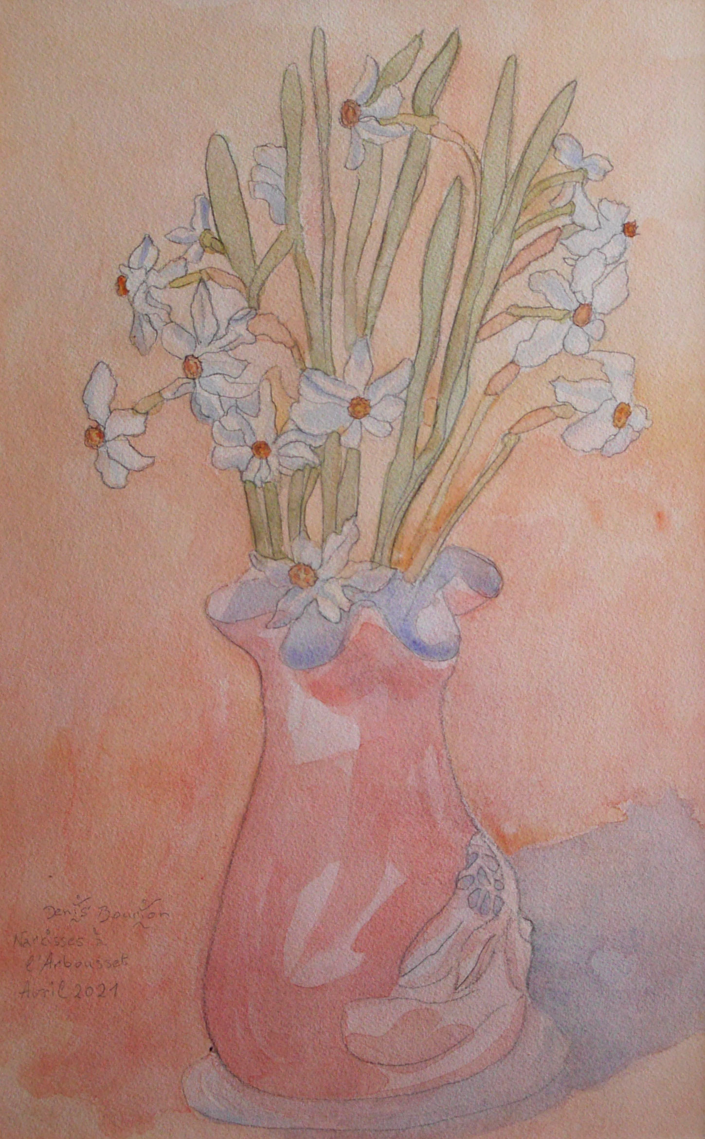 Narcisses à l'Arbousset avril 2021 crayon et aquarelle L32.5, H50 (cm)